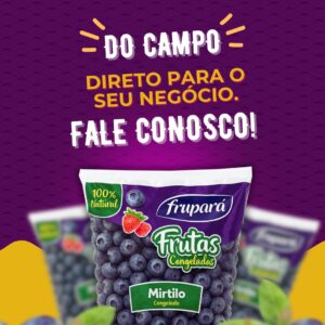 Mirtilo congelado opções nacional e importado embalagens 01 e 13,5 kg